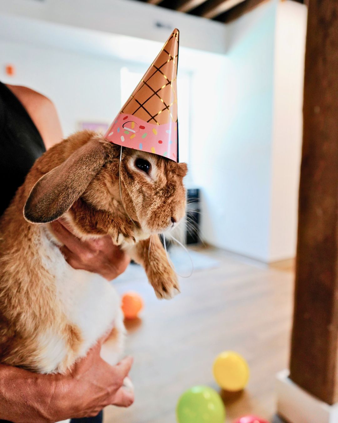 Birthday Party